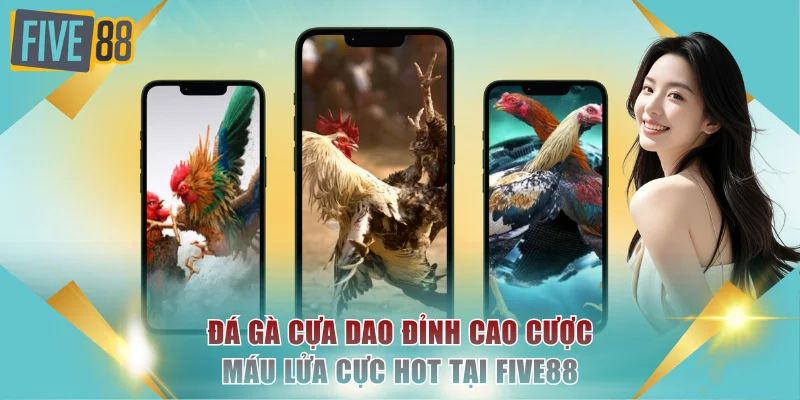 Đá Gà Cựa Dao Đỉnh Cao Cược Máu Lửa Cực Hot Tại FIVE88 5 Đá gà cựa dao