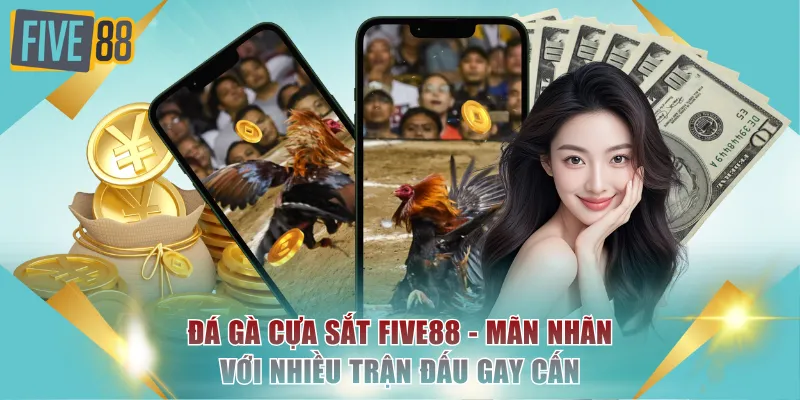 Đá Gà Cựa Sắt FIVE88 - Mãn Nhãn Với Nhiều Trận Đấu Gay Cấn 2 Đá gà cựa sắt